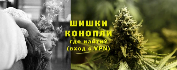 дмт Белокуриха